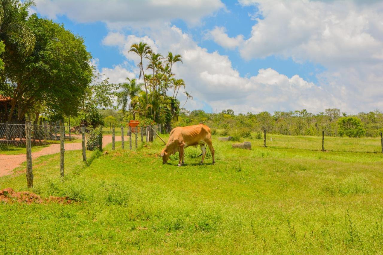 Fazenda Capoava Villa Itu Exteriör bild
