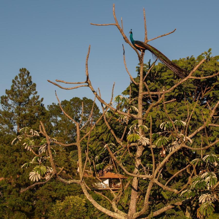 Fazenda Capoava Villa Itu Exteriör bild